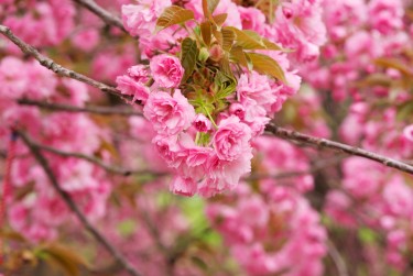 温州瑞安10线下个人借款平台一站式服务，轻松解决资金难题