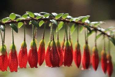 温州瑞安10零用贷短借：轻松解决临时资金需求