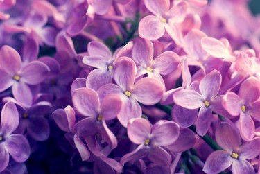 温州瑞安10企业急用钱贷款攻略：快速融资解燃眉之急